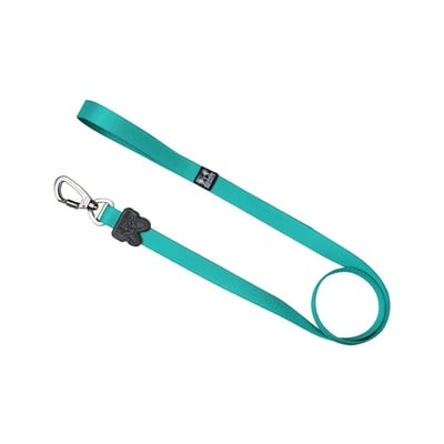 Guia Color Ribbon Boots E Pets Verde Água G - 1 Unidade Para Cachorros E Gatos