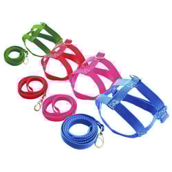 Guia E Peitoral Nylon Para Caes N°0