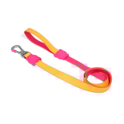 Guia Neopro Lyra Zee.Dog Para Cães - Tamanho P