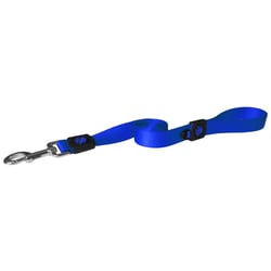 Guia Nylon Doco Azul Para Cães - 1 Unidade