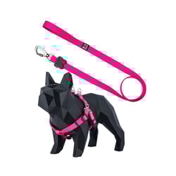 Guia Peitoral American Boots Y Rosa G Para Cachorros - 1Un