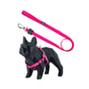 Guia Peitoral American Boots Y Rosa G Para Cachorros - 1Un