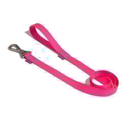 Guia Petz Flúor Pink Para Cães - Tamanho PP/P