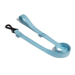 Guia Petz Pastel Aqua Para Cães - 1 Unidade - Tamanho PP/P