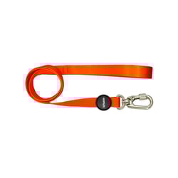 Guia Tchucoo Tangerine Para Cães - 1 Unidade