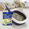 Aditivo Antiodor Pipicat Campestre Para Gatos - 500G