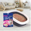 Aditivo Antiodor Pipicat Floral Para Gatos - 500G
