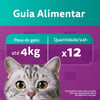 Anti Bola De Pelo Whiskas Temptations Para Gatos Adultos - 80G - 40 Gramas