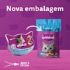 Anti Bola De Pelo Whiskas Temptations Para Gatos Adultos - 80G - 40 Gramas