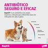 Antibiótico Baytril Flavour 250Mg - 6 Comprimidos