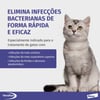 Antimicrobiano E Antibiótico Elanco Veraflox Gatos Suspensão Oral 15Ml - 1 Unidade