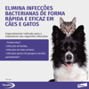 Antimicrobiano Veraflox 60Mg Para Cães E Gatos - 7 Comprimidos