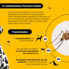 Antiparasitária Scalibor Para Cães Grandes - 65Cm - 1 Coleira