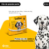 Antiparasitária Scalibor Para Cães Grandes - 65Cm - 1 Coleira