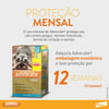 Antipulgas Advocate Para Cães De 4 A 10Kg - 3 Pipetas - 1 Unidade