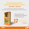 Antipulgas Advocate Para Gatos Até 4Kg - 1 Pipeta - 1 Unidade