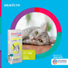 Antipulgas Bravecto Plus Msd Para Gatos De 1,2 A 2,8Kg - 0,4Ml