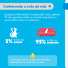 Antipulgas Bravecto Plus Msd Para Gatos De 1,2 A 2,8Kg - 0,4Ml