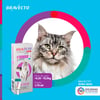 Antipulgas Bravecto Plus Para Gatos De 6,25 A 12,5Kg - 1,79Ml