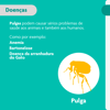 Antipulgas Bravecto Transdermal 112,5Mg Para Gatos De 1,2 A 2,8Kg - 1 Unidade