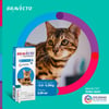 Antipulgas Bravecto Transdermal Para Gatos De 2,8 A 6,25Kg - 250Mg - 1 Unidade