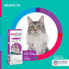 Antipulgas Bravecto Transdermal Para Gatos De 6,25 A 12,5Kg - 500Mg - 1 Unidade