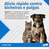 Antipulgas Capstar 57Mg Para Cães De 11,4 A 57Kg - 1 Comprimido