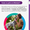 Antipulgas E Carrapatos Bravecto 1000Mg Para Cães De 20 A 40Kg - 1 Comprimido