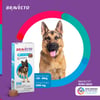 Antipulgas E Carrapatos Bravecto 1000Mg Para Cães De 20 A 40Kg - 1 Comprimido