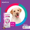 Antipulgas E Carrapatos Bravecto 1400Mg Para Cães De 40 A 56Kg - 1 Comprimido