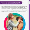 Antipulgas E Carrapatos Bravecto 1400Mg Para Cães De 40 A 56Kg - 1 Comprimido