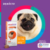 Antipulgas E Carrapatos Bravecto 250Mg Para Cães De 4,5 A 10Kg - 1 Comprimido