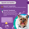 Antipulgas E Carrapatos Bravecto Msd 112,5Mg Para Cães De 2 A 4,5Kg - 1 Comprimido