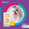Antipulgas E Carrapatos Bravecto Msd 112,5Mg Para Cães De 2 A 4,5Kg - 1 Comprimido