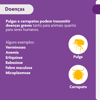 Antipulgas E Carrapatos Bravecto Msd 112,5Mg Para Cães De 2 A 4,5Kg - 1 Comprimido