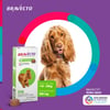 Antipulgas E Carrapatos Bravecto Msd 500Mg Para Cães De 10 A 20Kg - 1 Comprimido