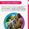 Antipulgas E Carrapatos Bravecto Transdermal 1000Mg Para Cães De 20 A 40Kg - 1 Unidade