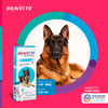Antipulgas E Carrapatos Bravecto Transdermal 1000Mg Para Cães De 20 A 40Kg - 1 Unidade