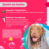 Antipulgas E Carrapatos Bravecto Transdermal 1000Mg Para Cães De 20 A 40Kg - 1 Unidade