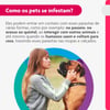 Antipulgas E Carrapatos Bravecto Transdermal 1400Mg Para Cães De 40 A 56Kg - 1 Unidade
