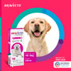 Antipulgas E Carrapatos Bravecto Transdermal 1400Mg Para Cães De 40 A 56Kg - 1 Unidade