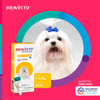 Antipulgas E Carrapatos Bravecto Transdermal Msd 112,5Mg Para Cães 2 A 4,5Kg - 1 Unidade