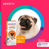 Antipulgas E Carrapatos Bravecto Transdermal Msd 250Mg Para Cães De 4,5 A 10Kg - 1 Unidade