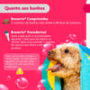 Antipulgas E Carrapatos Bravecto Transdermal Msd 250Mg Para Cães De 4,5 A 10Kg - 1 Unidade