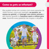 Antipulgas E Carrapatos Bravecto Transdermal Para Cães De 10 A 20Kg - 500Mg