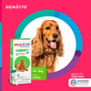 Antipulgas E Carrapatos Bravecto Transdermal Para Cães De 10 A 20Kg - 500Mg