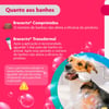 Antipulgas E Carrapatos Bravecto Transdermal Para Cães De 10 A 20Kg - 500Mg