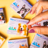 Antipulgas E Carrapatos Nexgard Para Cães De 10,1 A 25Kg - 3 Tabletes - 1 Unidade
