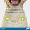 Antipulgas E Carrapatos Seresto Para Cães Acima De 8Kg - 1 Unidade