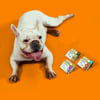 Antipulgas E Carrapatos Simparic 40Mg Para Cães De 10,1 A 20Kg - 1 Comprimido - 1 Unidade